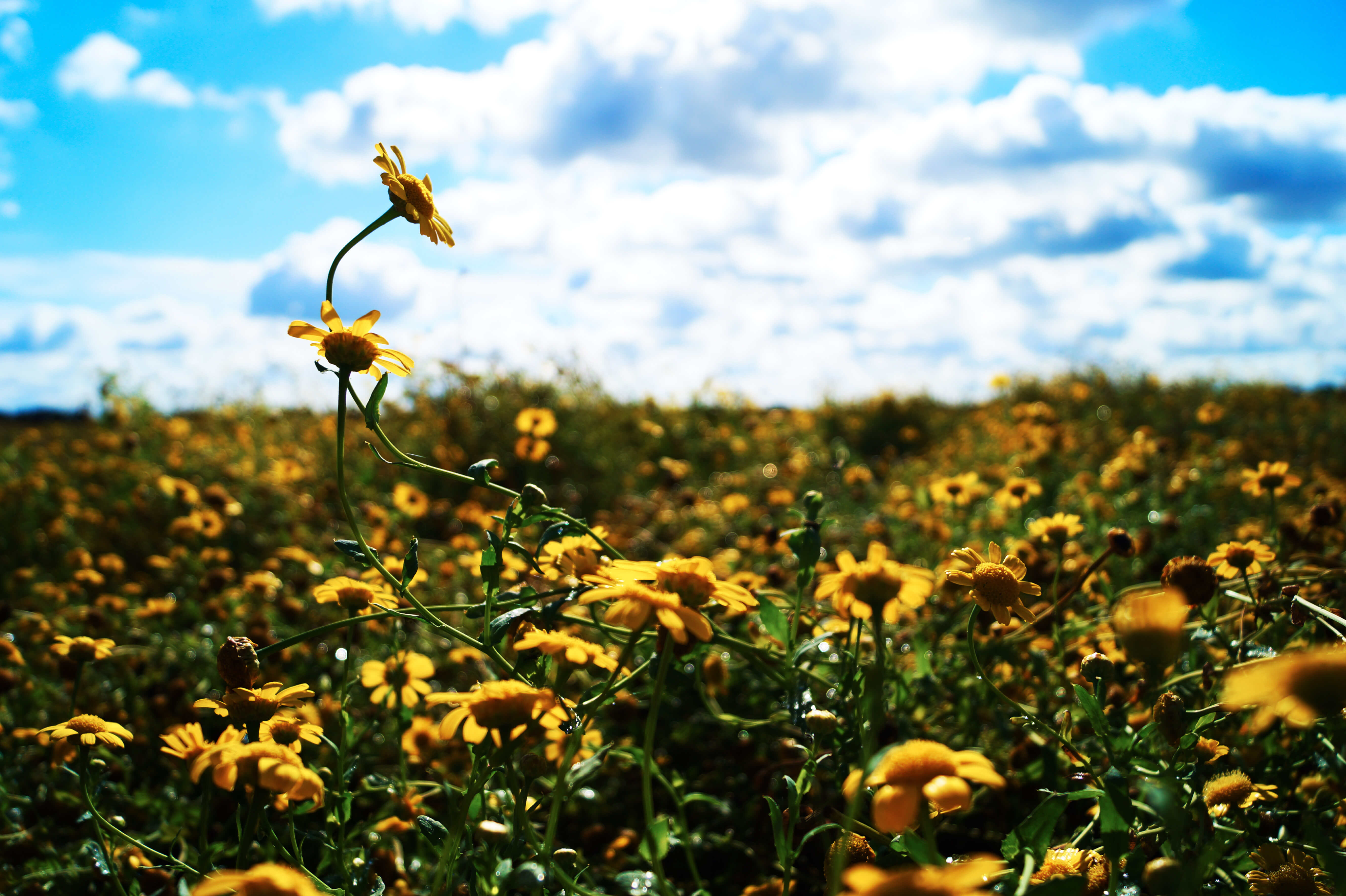 Cztery Pory Roku w Powiecie Polickim - Etap III rozstrzygnięty