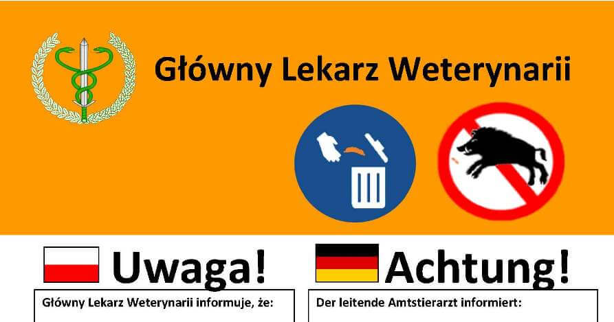 Zagrożenie wirusem ASF - informacje