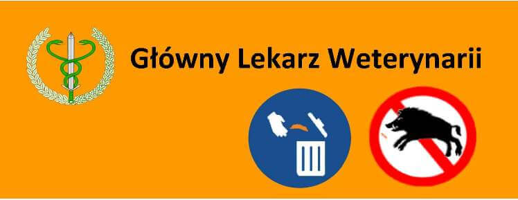 ASF - Afrykański Pomór Świń