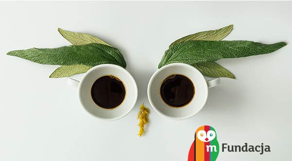 Ruszył nabór wniosków do mPotęgi: czekają granty na projekty edukacji matematycznej