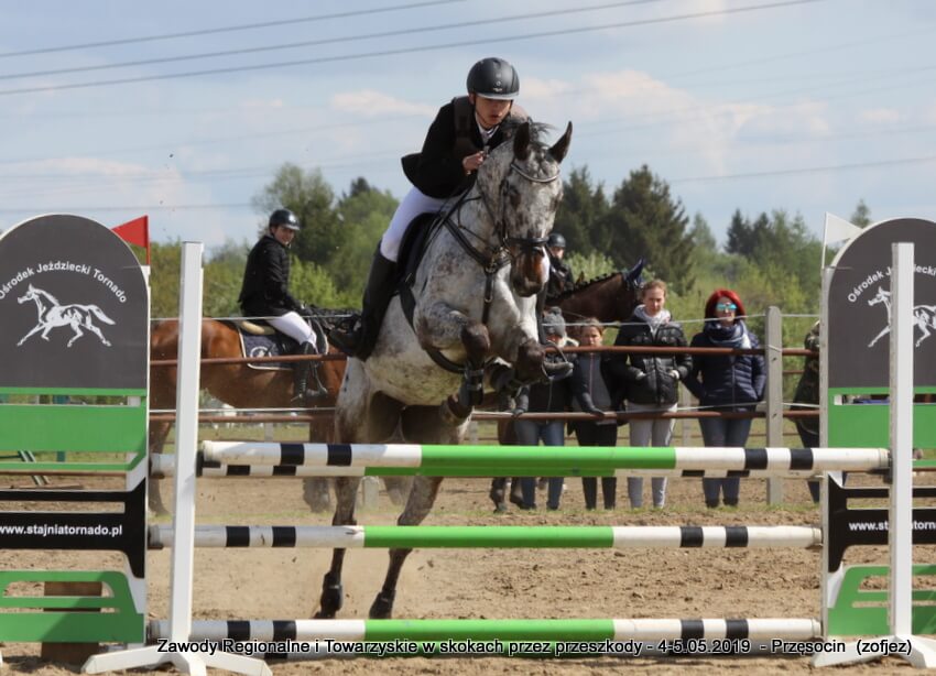 50 jeźdźców i koni wzięło udział w Regionalnych Towarzyskich Zawodach Jeździeckich w Skokach przez Przeszkody