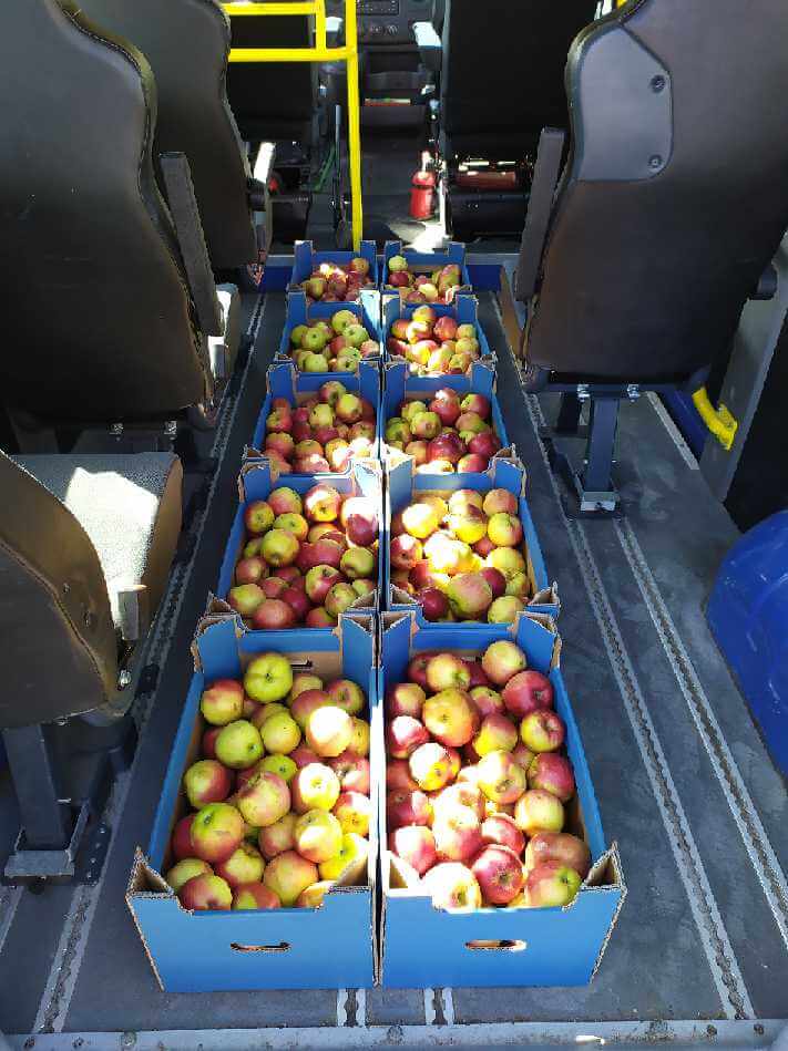 Ponad 500 kg jabłek przekazało Powiatowe Centrum Pomocy Rodzinie w Policach