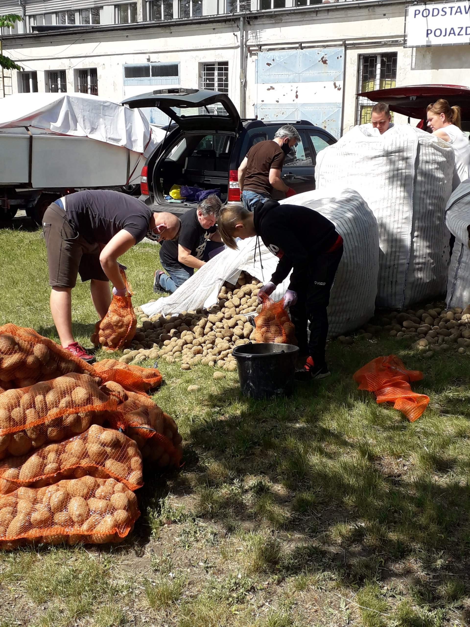 4 tony ziemniaków z Banku Żywności im. Jacka Kuronia w Szczecinie