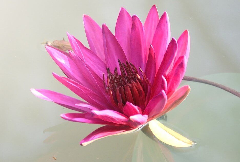 Życzenia z okazji Dnia Edukacji Narodowej