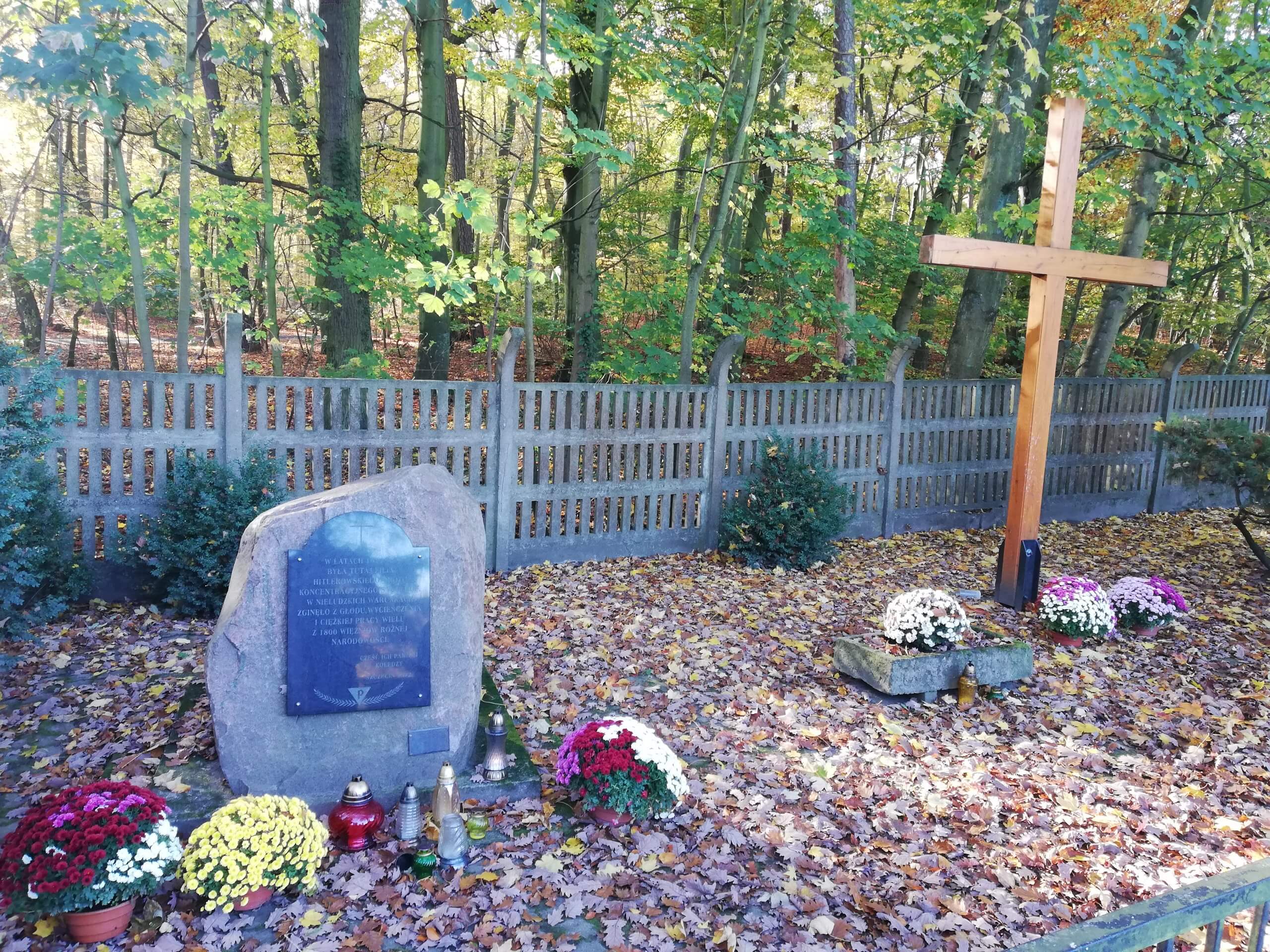 Powiat Policki wspomógł lokalnych przedsiębiorców