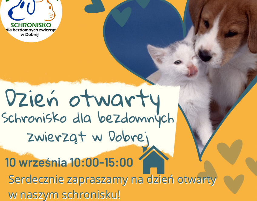 Dzień otwarty Schronisko dla bezdomnych   zwierząt w Dobrej