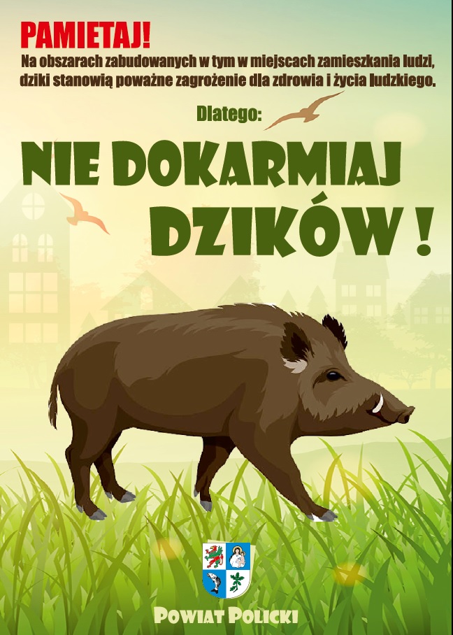 Zasady postępowania w związku z dzikami