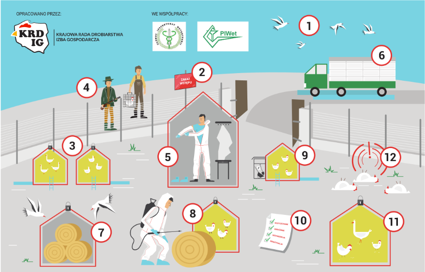 Grypa Ptaków - Powiatowy Inspektorat Weterynarii w Szczecinie