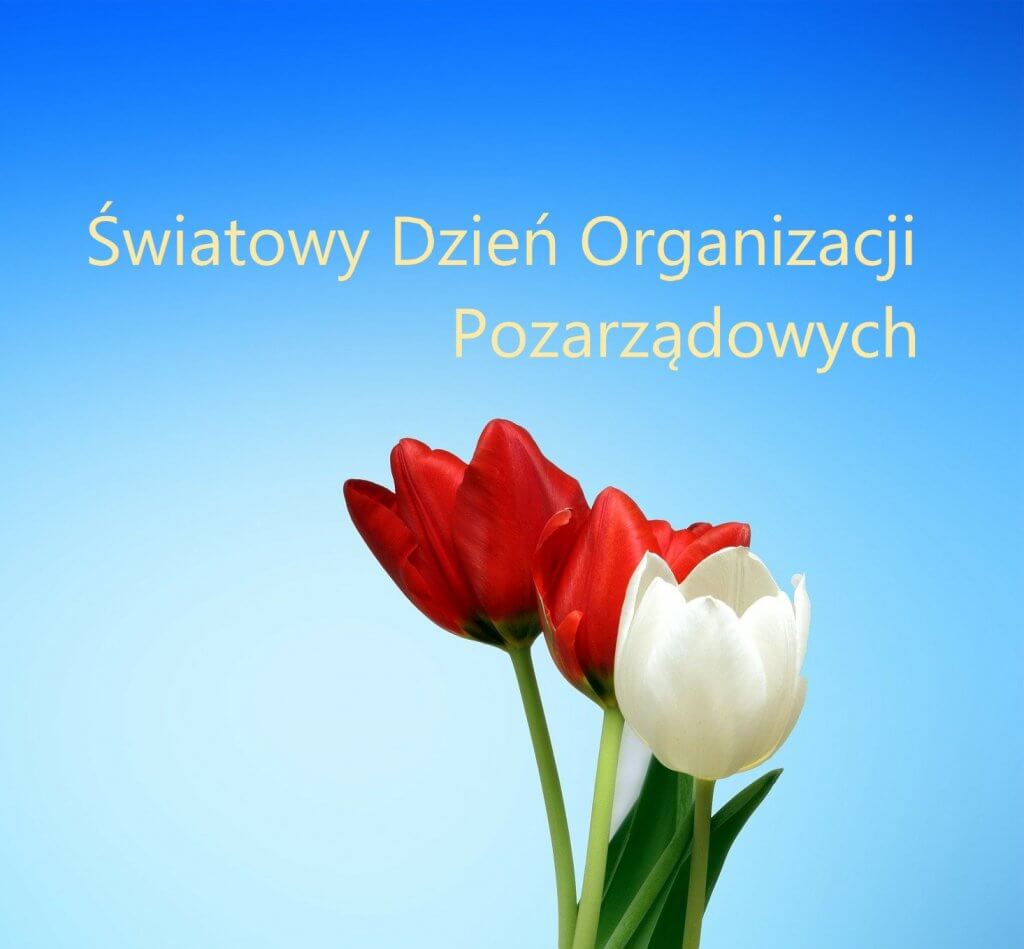 Światowy Dzień Organizacji Pozarządowych
