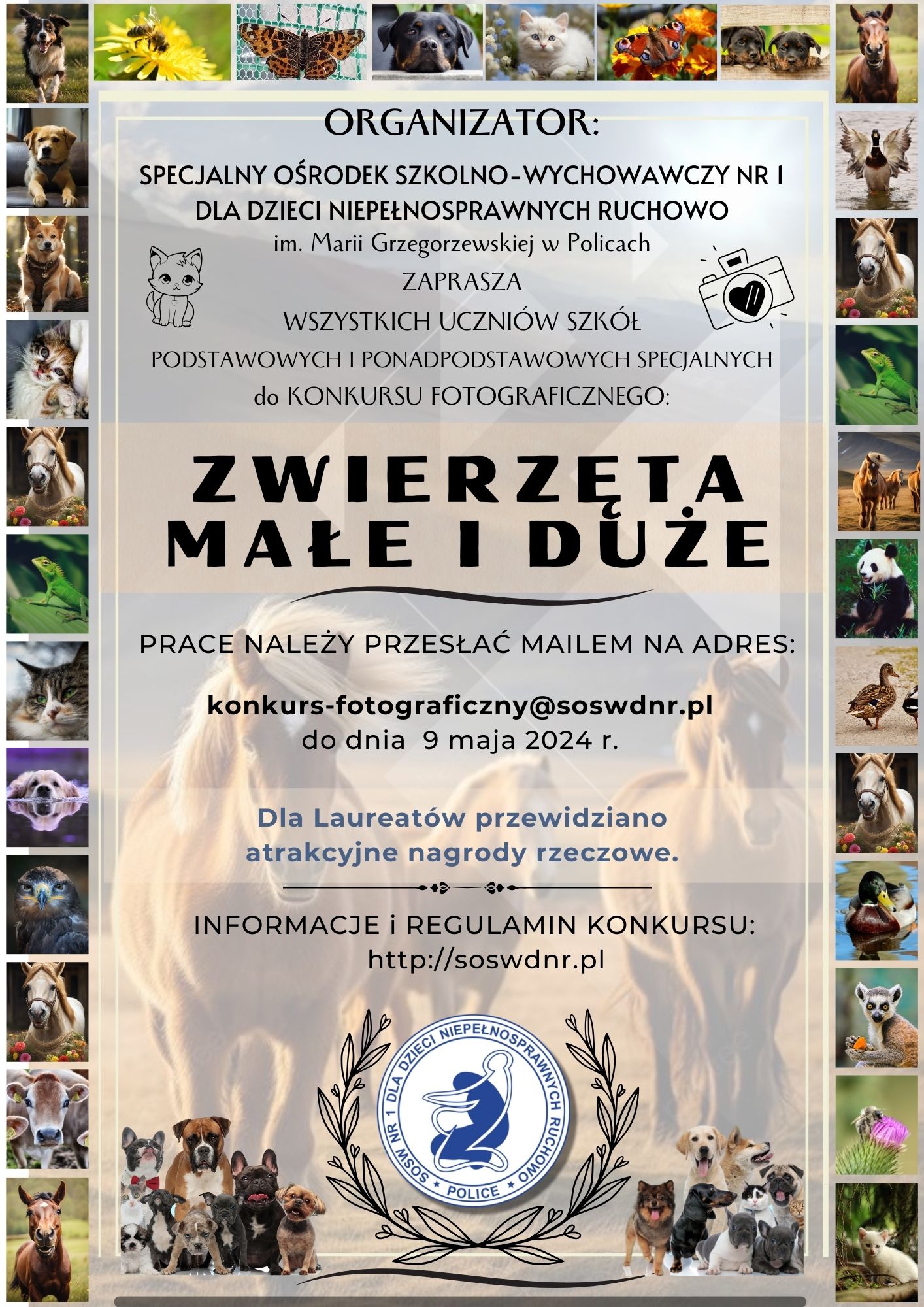 Ogólnopolski Konkurs Fotograficzny "Zwierzęta Małe i Duże"