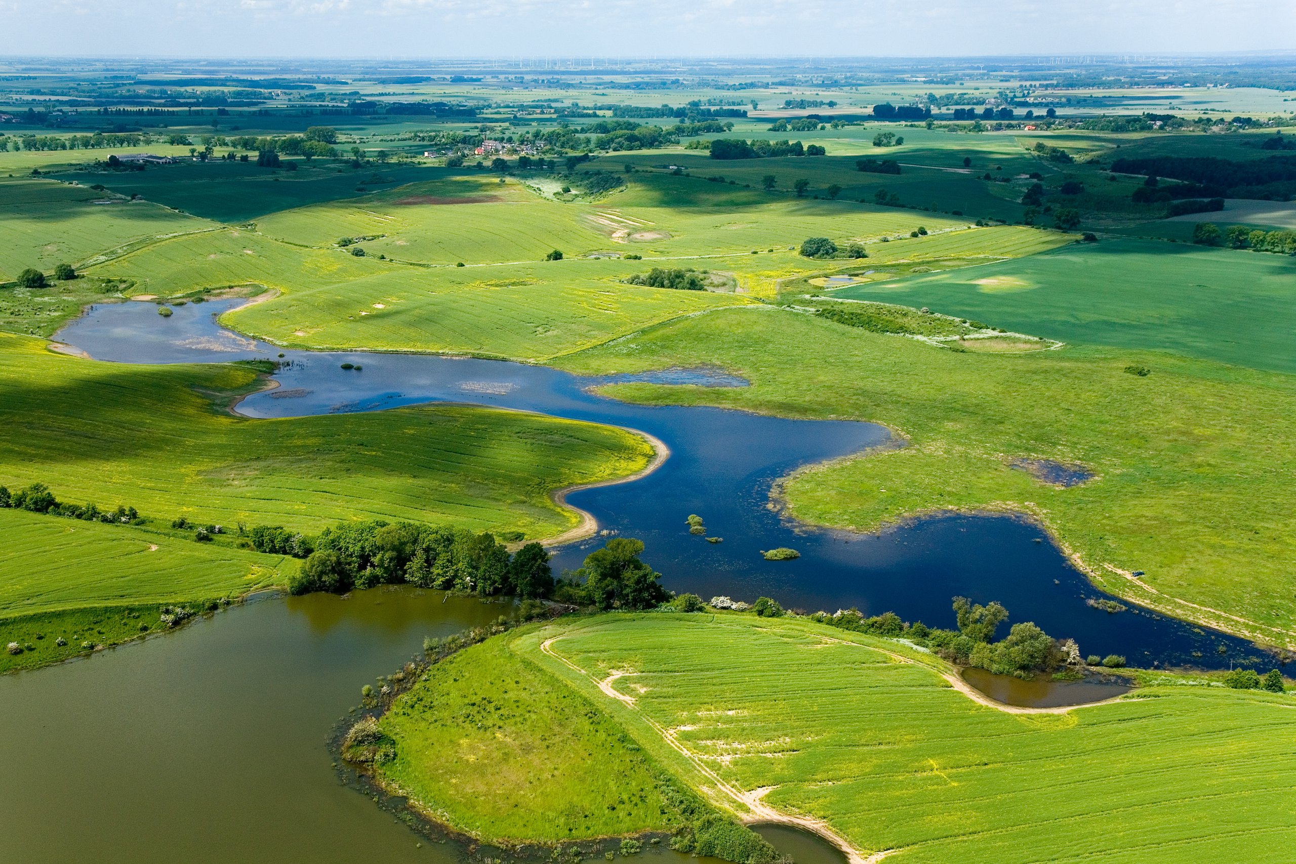 Całkowity zakaz uprawiania amatorskiego połowu ryb w obwodach rybackich rzeki Odry i Jeziora Portowe