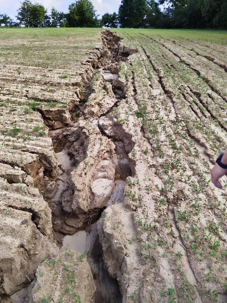 Naprawiliśmy pobocze w Smolęcinie
