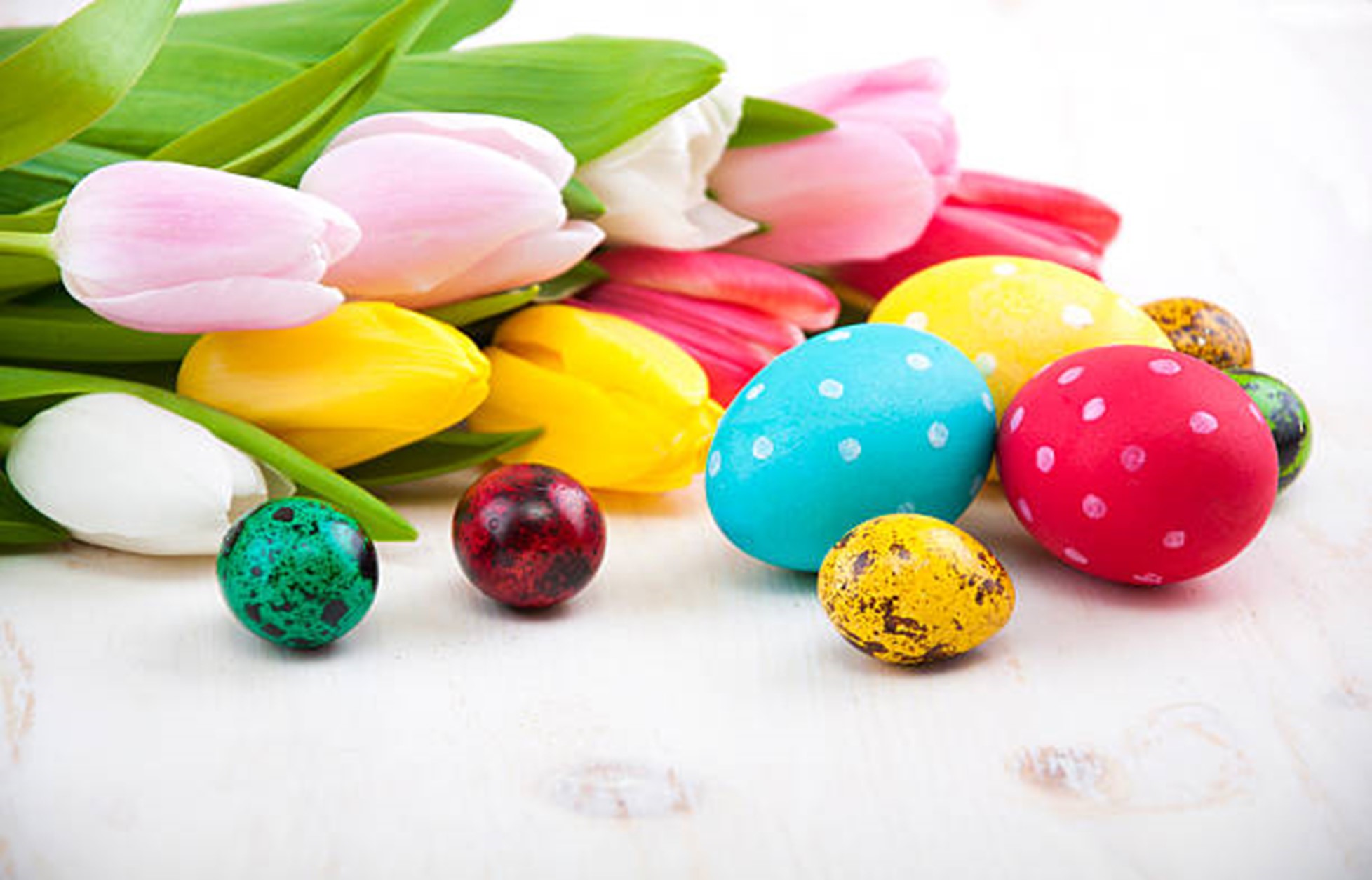 Kwiaty i wielkanocne jajka