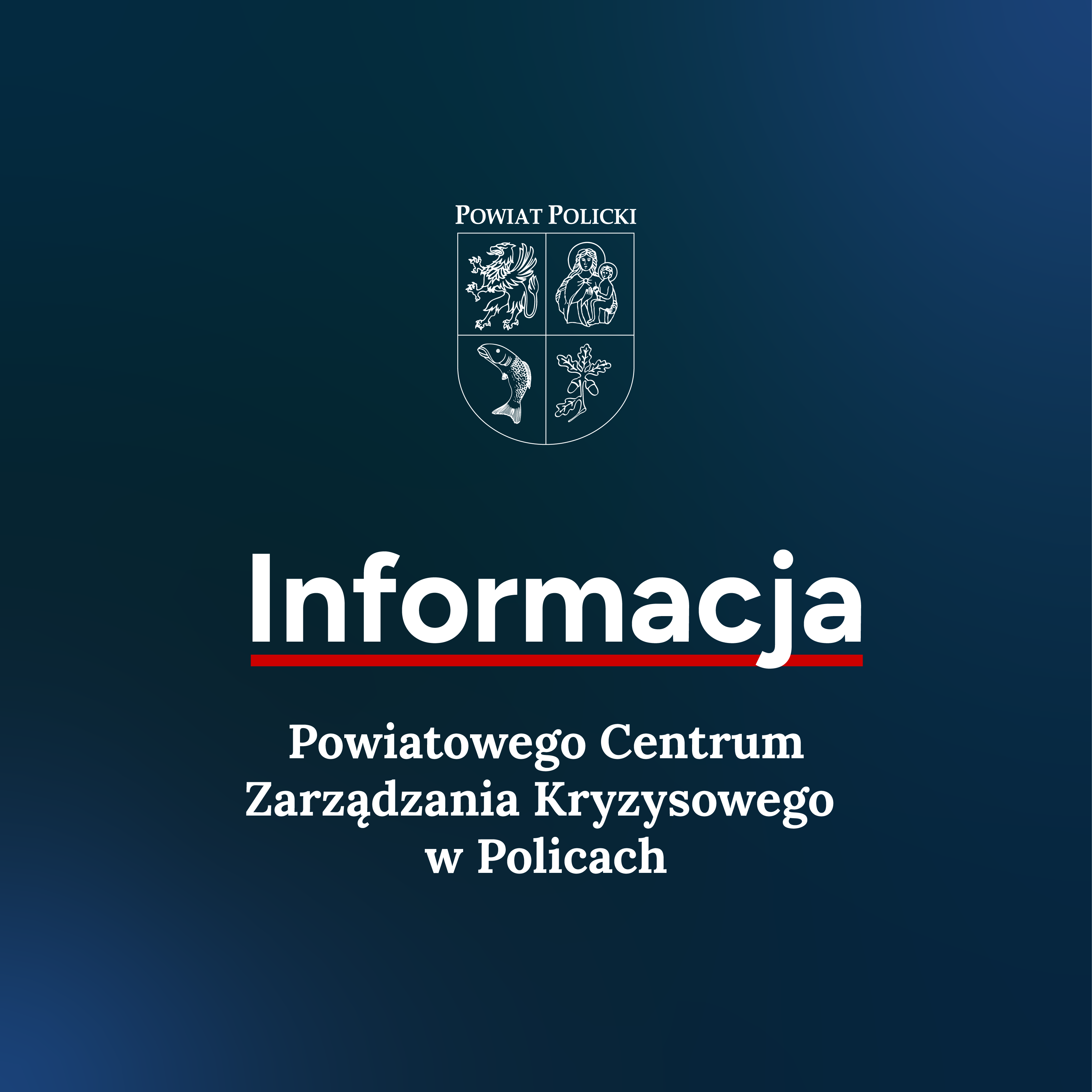 Informacja grafika