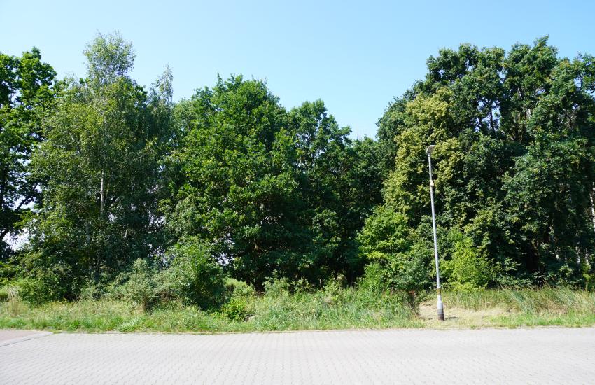 Zdjęcie nieruchomości