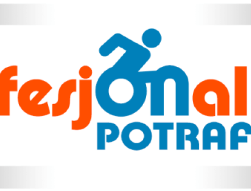 Projekt „ProfesjONalista”