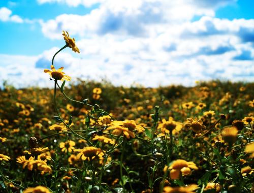 Cztery Pory Roku w Powiecie Polickim - Etap III rozstrzygnięty