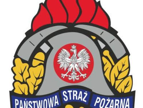 XIX Ogólnopolski Konkurs Plastyczny pn."25 lat PSP - Profesjonalni, Sprawni, Pomocni"