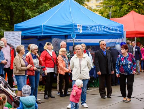 XI Piknik Organizacji Pozarządowych
