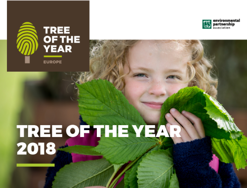 Europejskie Drzewo Roku 2018: głosowanie rozpoczęte!