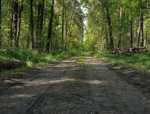 26. Międzynarodowy Rajd Pieszy