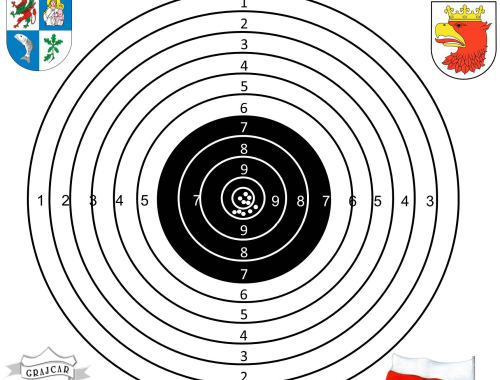 „10 Strzałów Ku Chwale Ojczyzny” – zapisy