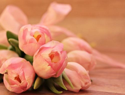 Międzynarodowy Dzień Osób Niepełnosprawnych - życzenia