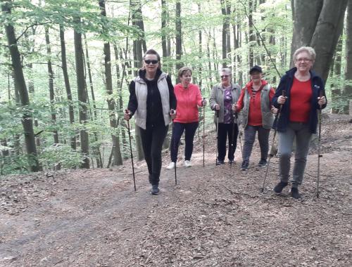 Stowarzyszenie "Polickie Amazonki" realizuje program "Rusz po zdrowie"