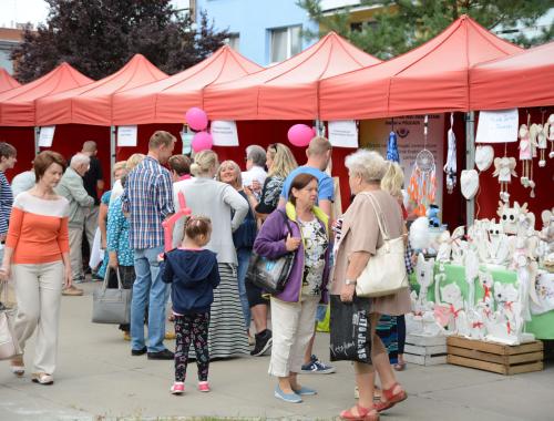 XIII Piknik Organizacji Pozarządowych "Jesteśmy, działamy"