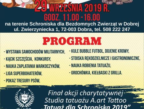 Dzień Psiaka i Kociaka w schronisku dla bezdomnych zwierząt w Dobrej