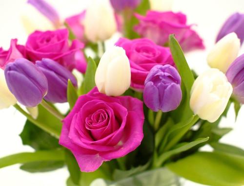 Ogólnopolski Dzień Seniora