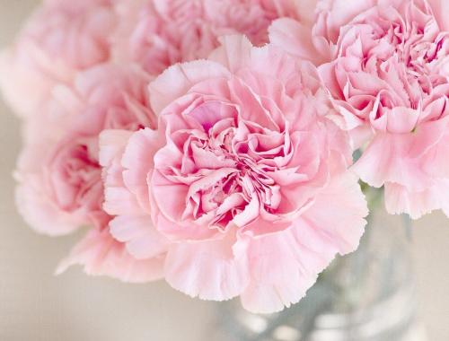 Międzynarodowy Dzień Osób Niepełnosprawnych