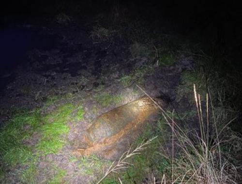 Detonacja pocisku z II wojny światowej