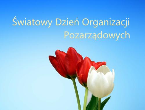 Światowy Dzień Organizacji Pozarządowych