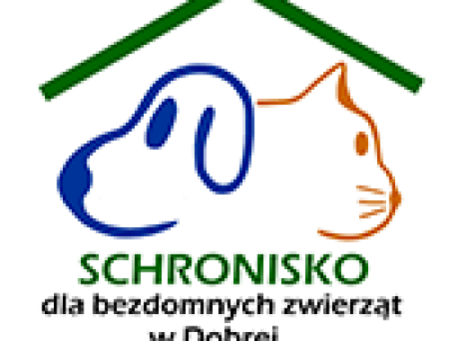 Schronisko dla Bezdomnych Zwierząt w Dobrej zostało zamknięte