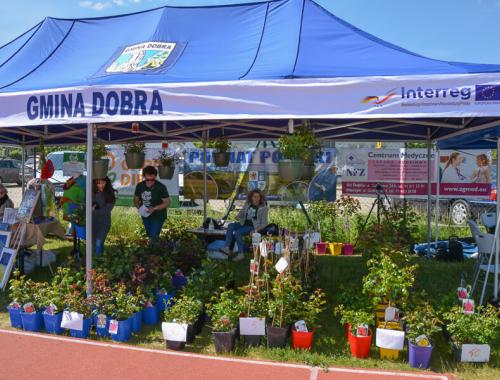 Weekend Otwartych Ogrodów w Gminie Dobra