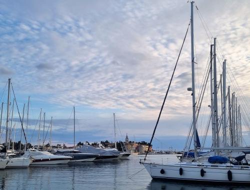 Uwaga na terminy wymiany dokumentów rejestracyjnych jachtów i innych jednostek pływających