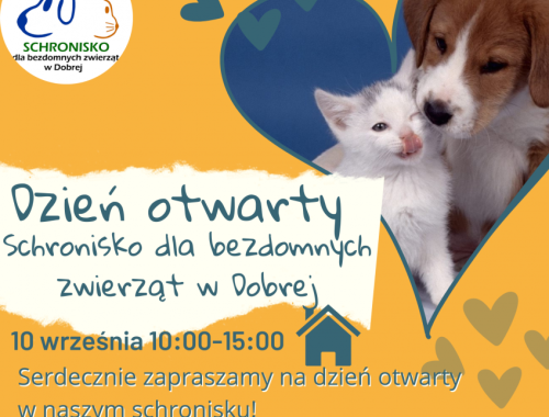 Dzień otwarty Schronisko dla bezdomnych   zwierząt w Dobrej