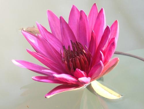 Dzień Edukacji Narodowej