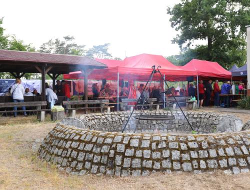 Dzień Chemika - Emeryta 2023