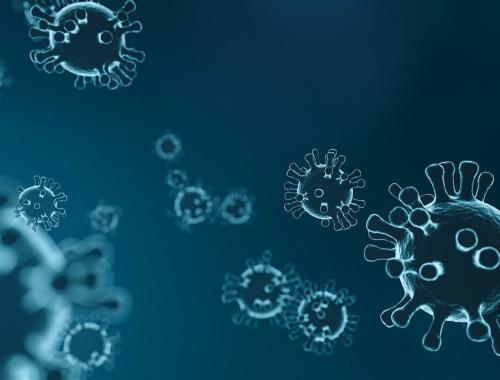 Uwaga! Zwiększone ryzyko rozprzestrzeniania się chorób zakaźnych zwierząt