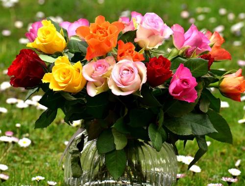 Ogólnopolski Dzień Seniora