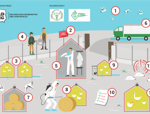 Grypa Ptaków - Powiatowy Inspektorat Weterynarii w Szczecinie