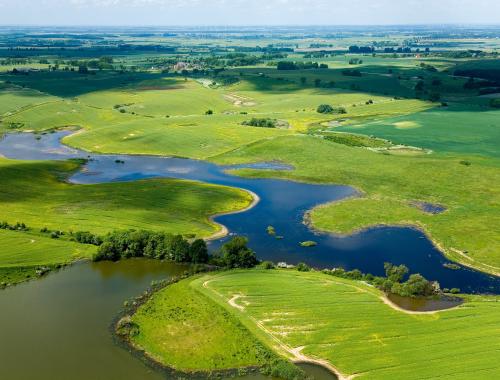 Całkowity zakaz uprawiania amatorskiego połowu ryb w obwodach rybackich rzeki Odry i Jeziora Portowe