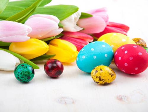 Wielkanocne paczki dla Kombatantów