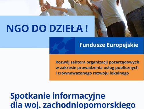 NGO do dzieła! Rozwój sektora organizacji pozarządowych w zakresie prowadzenia usług publicznych i zrównoważonego rozwoju lokalnego