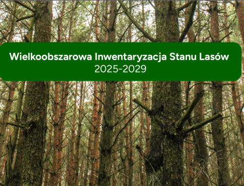 Apel do właścicieli lasów prywatnych