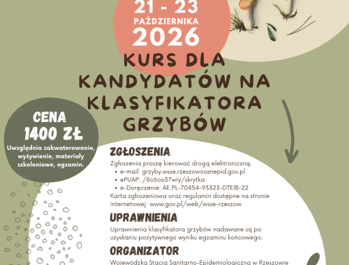 Ulotka
