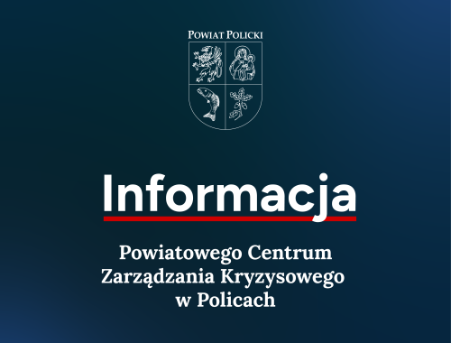 Informacja grafika